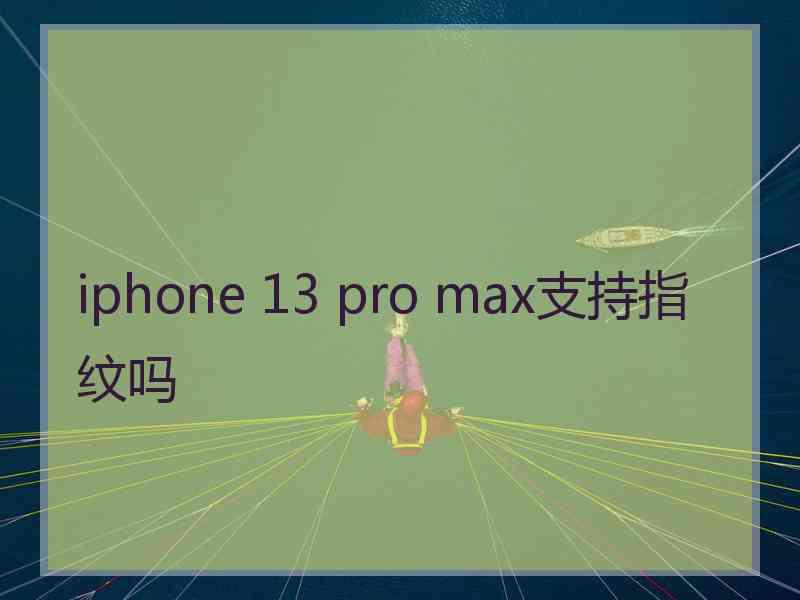 iphone 13 pro max支持指纹吗