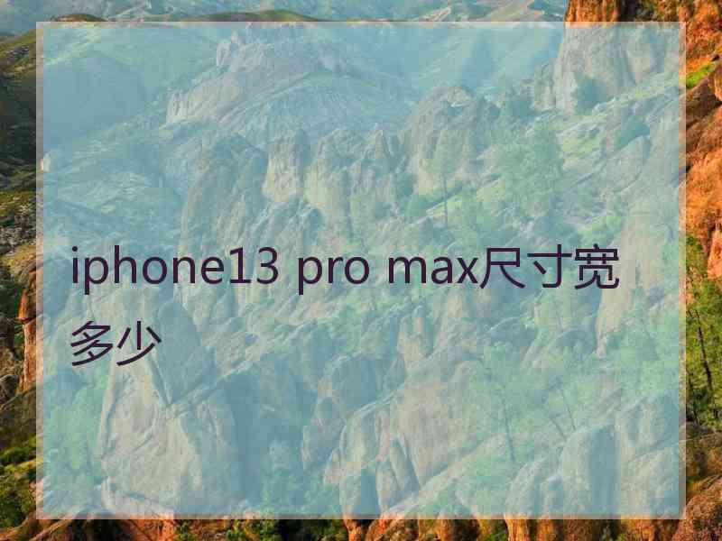 iphone13 pro max尺寸宽多少