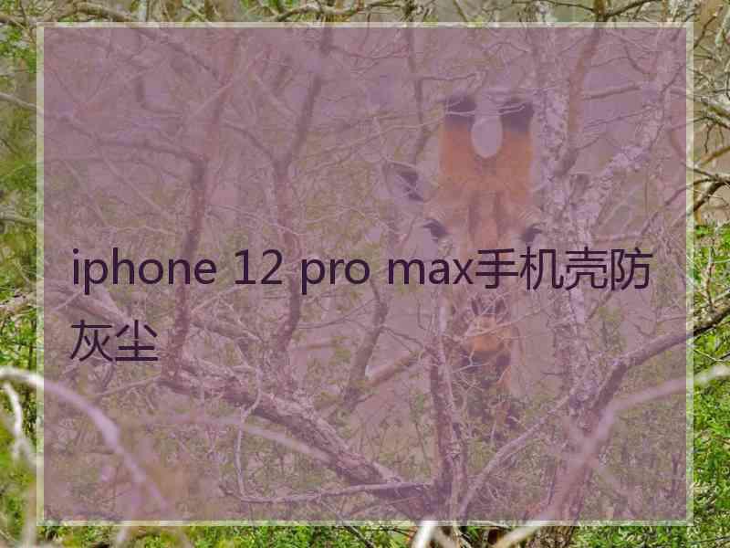 iphone 12 pro max手机壳防灰尘