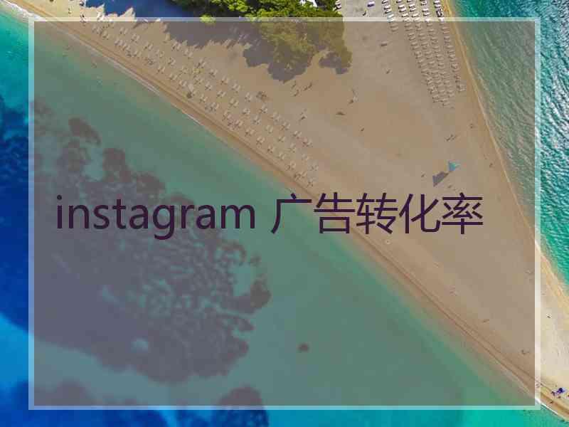 instagram 广告转化率