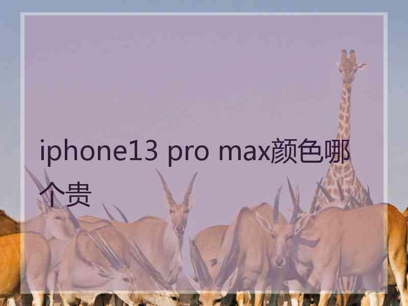 iphone13 pro max颜色哪个贵