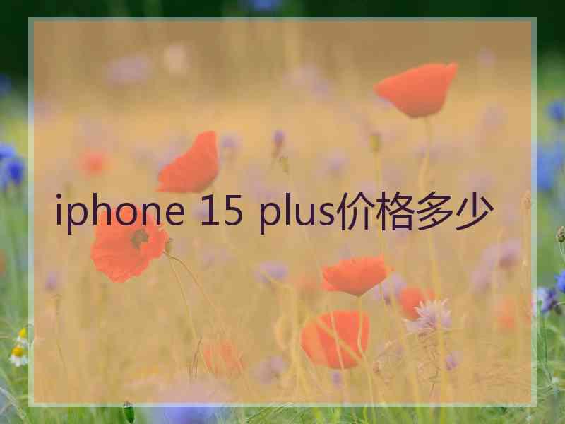 iphone 15 plus价格多少