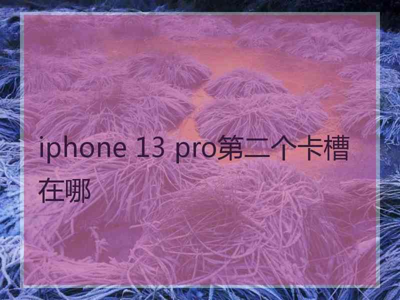 iphone 13 pro第二个卡槽在哪