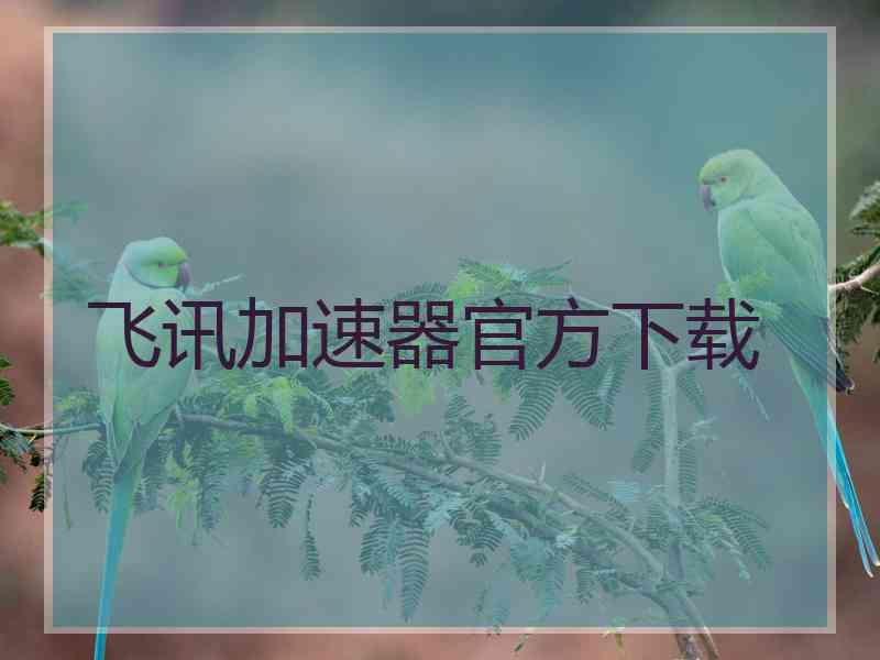 飞讯加速器官方下载