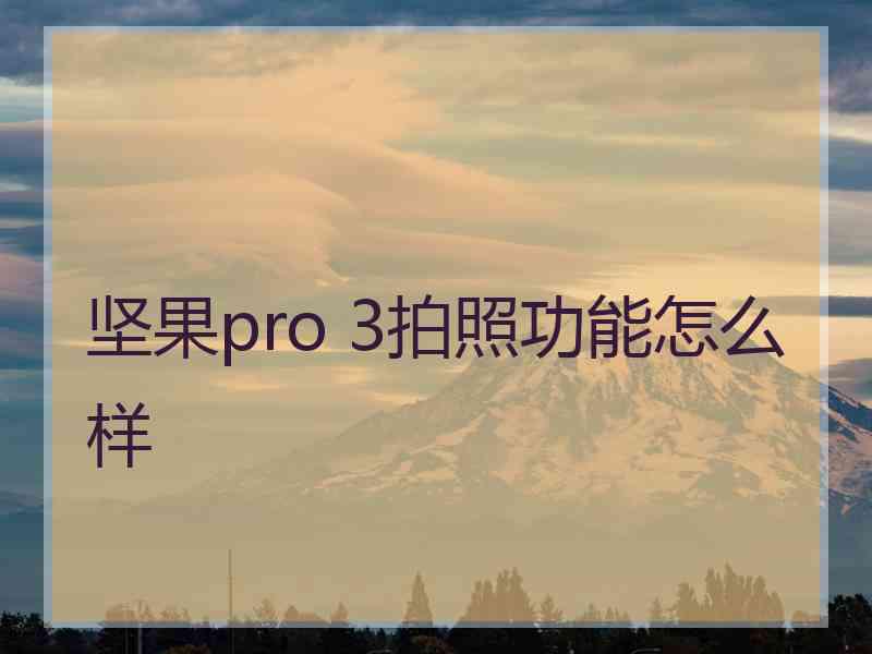 坚果pro 3拍照功能怎么样