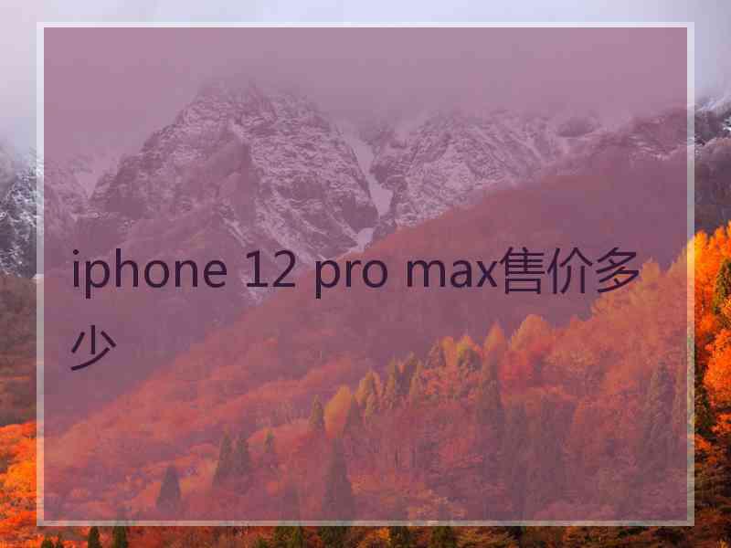 iphone 12 pro max售价多少