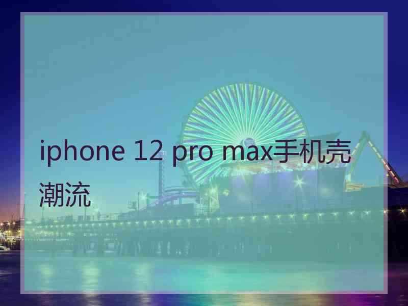 iphone 12 pro max手机壳潮流