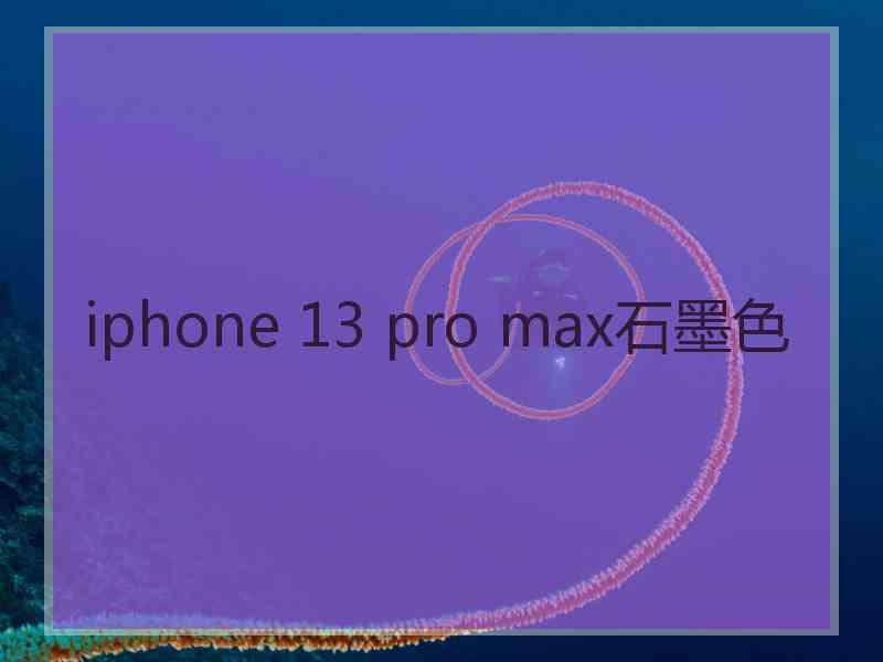 iphone 13 pro max石墨色