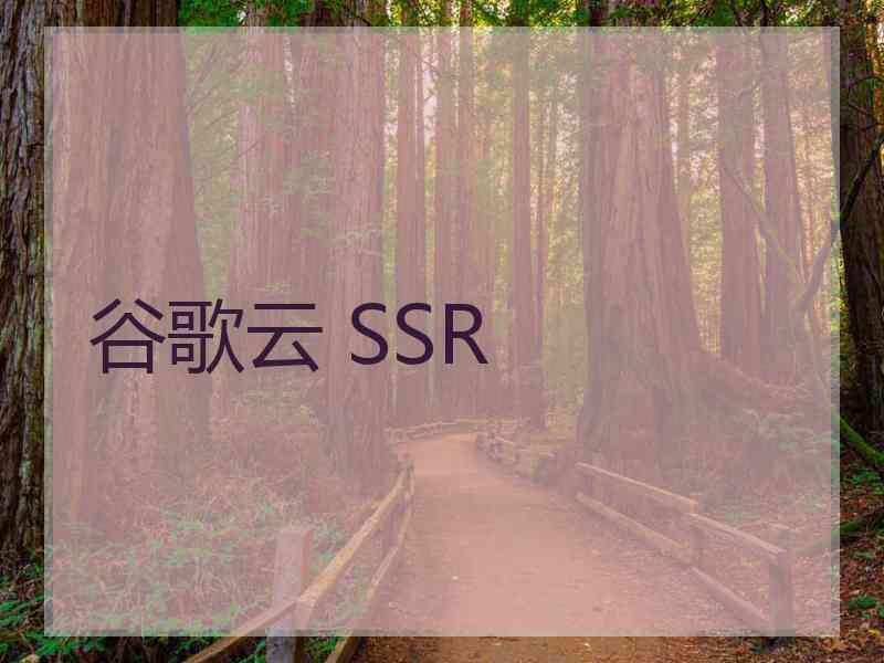 谷歌云 SSR