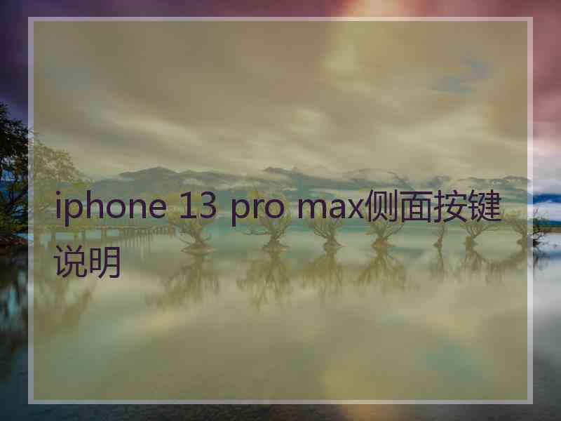 iphone 13 pro max侧面按键说明