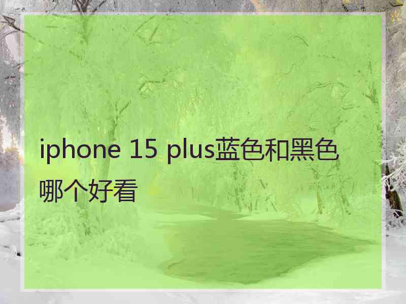 iphone 15 plus蓝色和黑色哪个好看