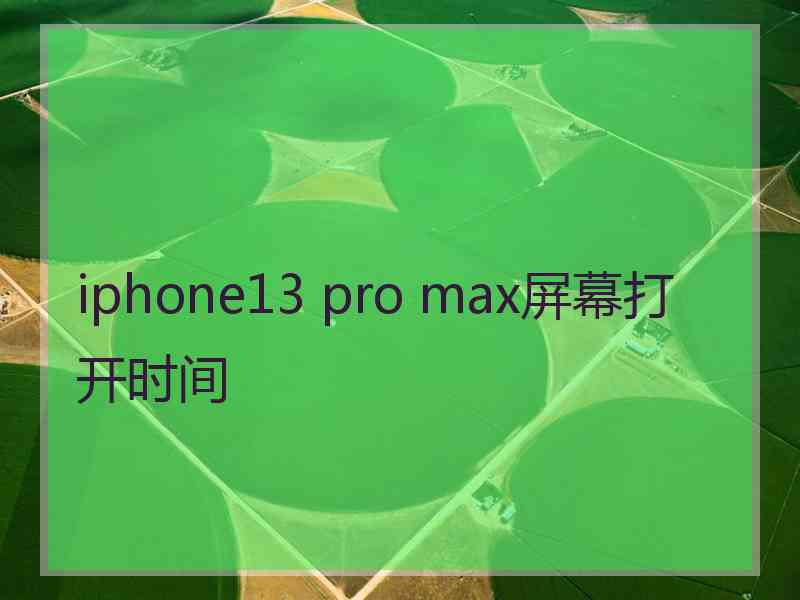 iphone13 pro max屏幕打开时间