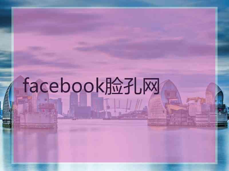 facebook脸孔网