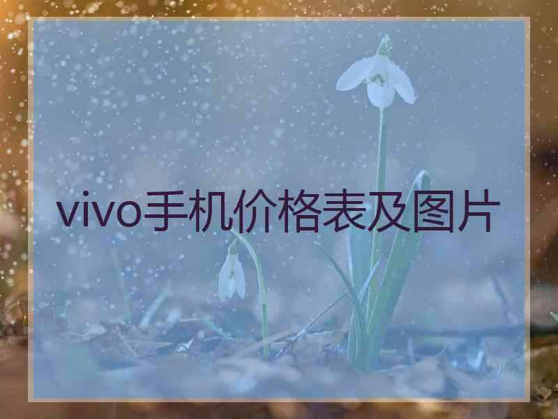 vivo手机价格表及图片