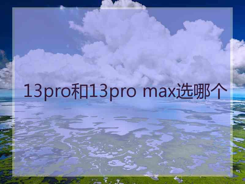 13pro和13pro max选哪个