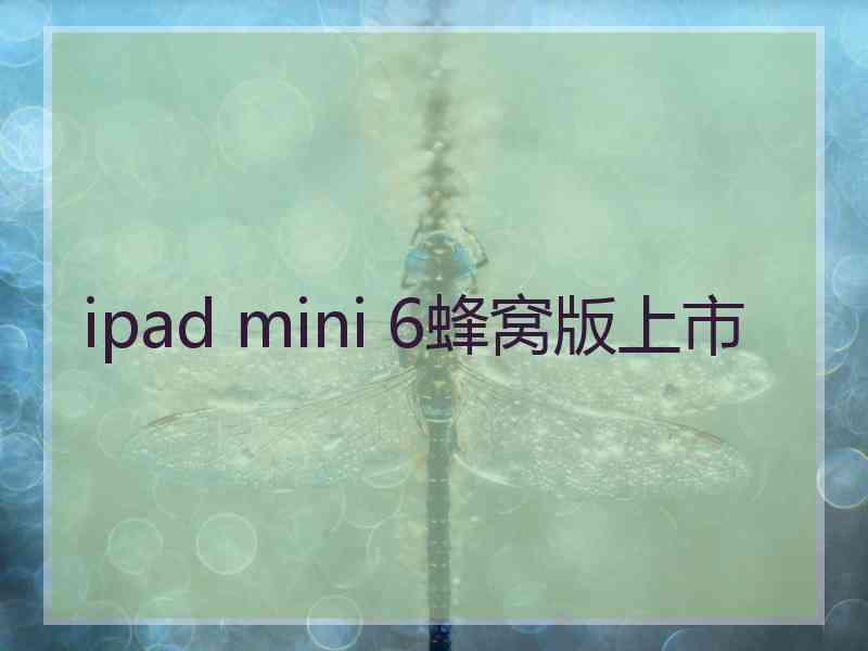 ipad mini 6蜂窝版上市