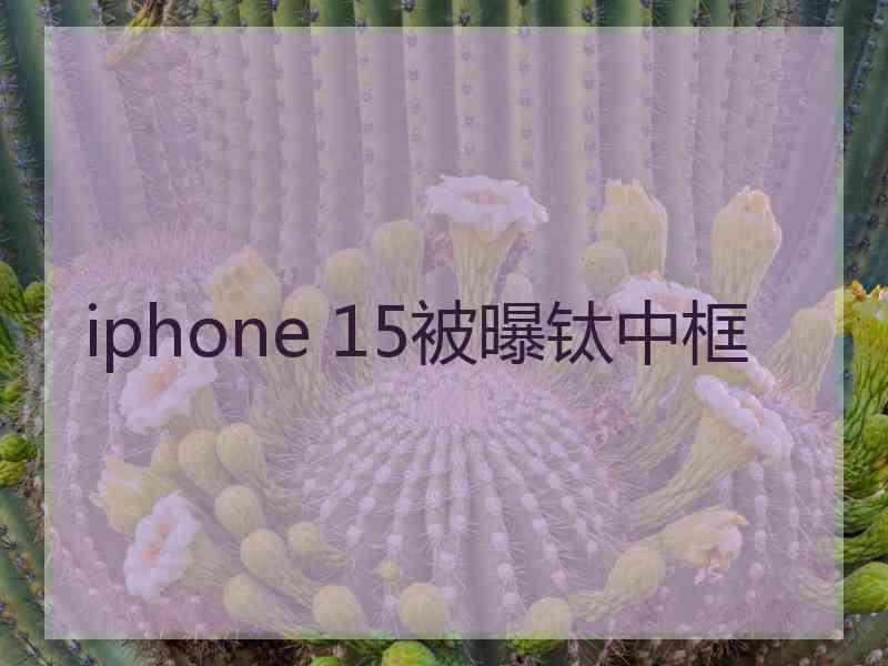 iphone 15被曝钛中框