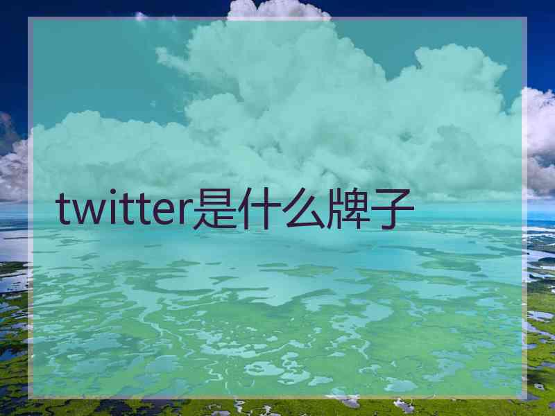 twitter是什么牌子