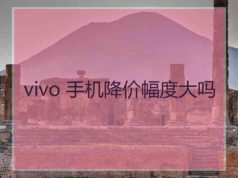 vivo 手机降价幅度大吗