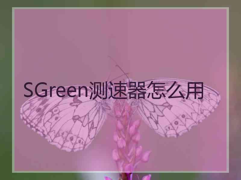 SGreen测速器怎么用