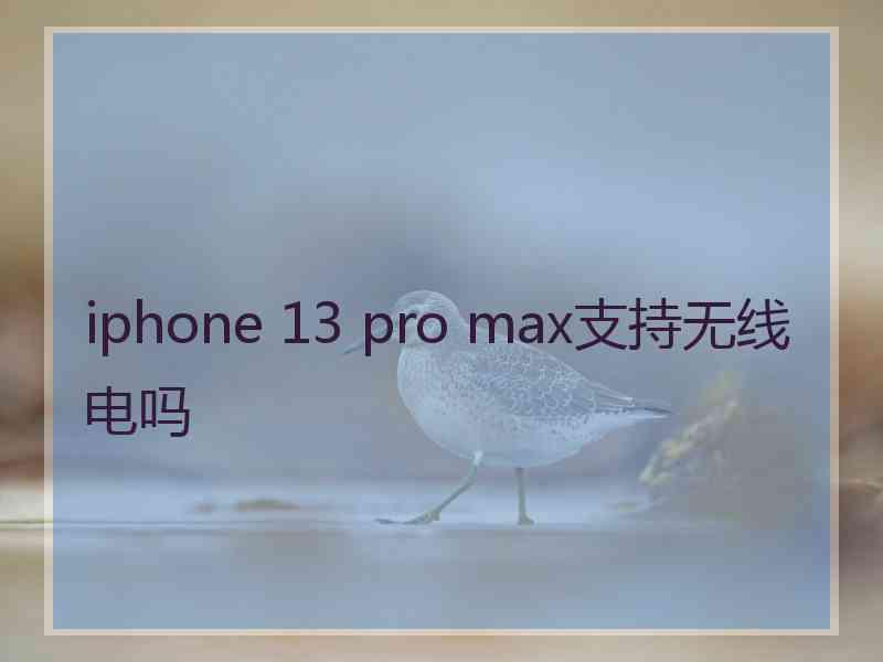 iphone 13 pro max支持无线电吗