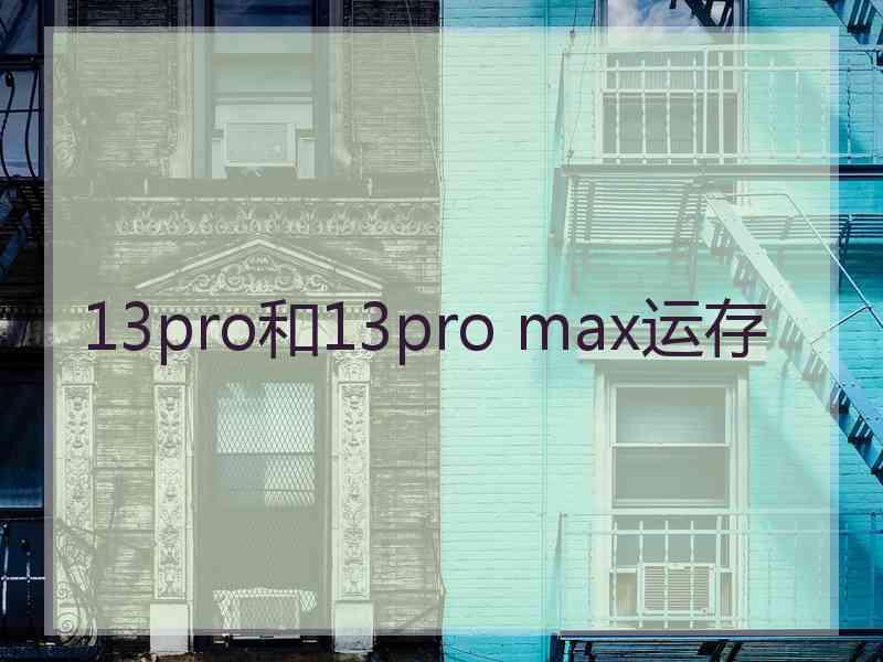 13pro和13pro max运存