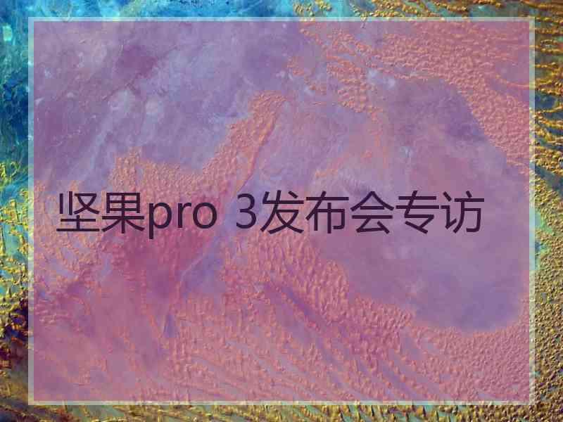 坚果pro 3发布会专访