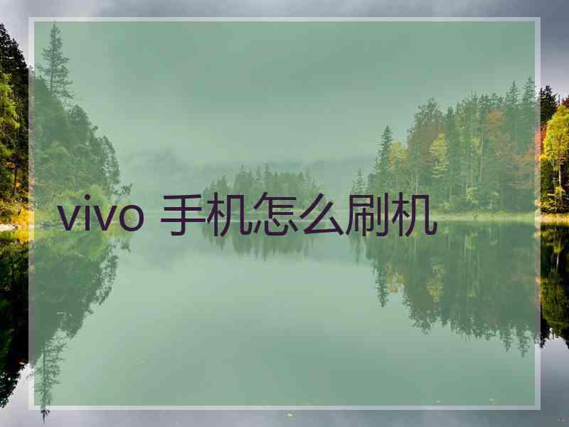 vivo 手机怎么刷机