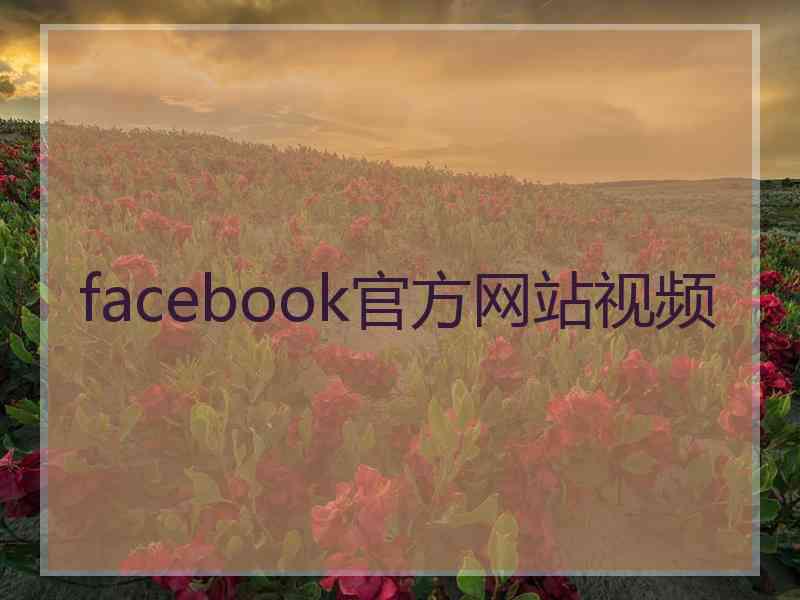 facebook官方网站视频