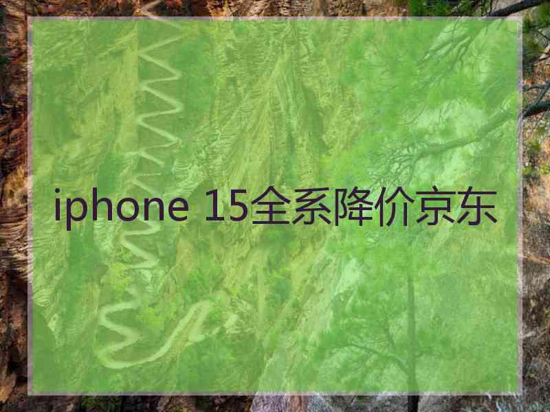 iphone 15全系降价京东