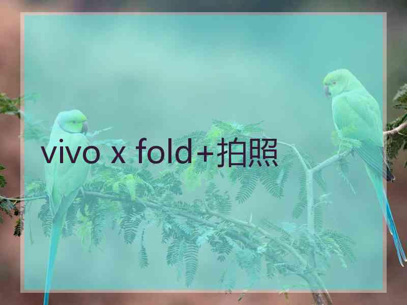 vivo x fold+拍照