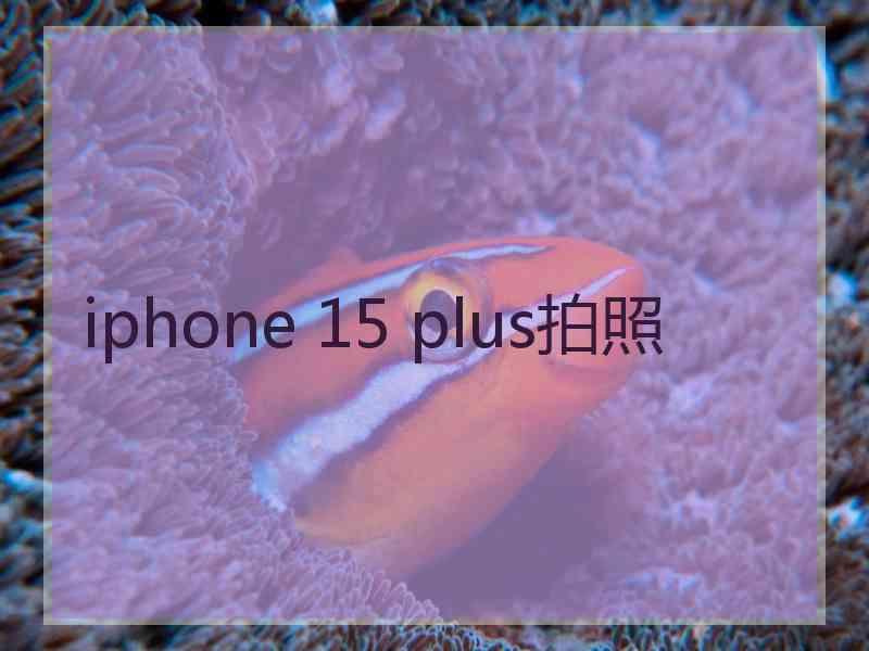 iphone 15 plus拍照