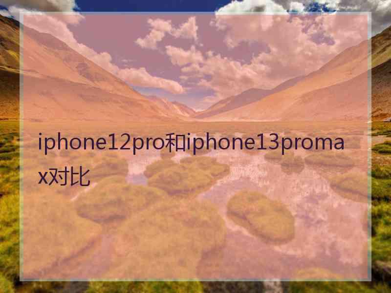 iphone12pro和iphone13promax对比