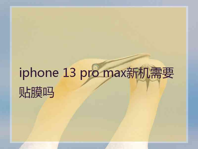 iphone 13 pro max新机需要贴膜吗