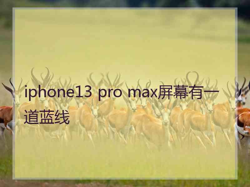 iphone13 pro max屏幕有一道蓝线