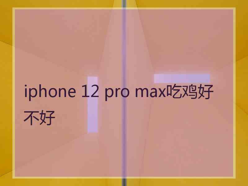 iphone 12 pro max吃鸡好不好