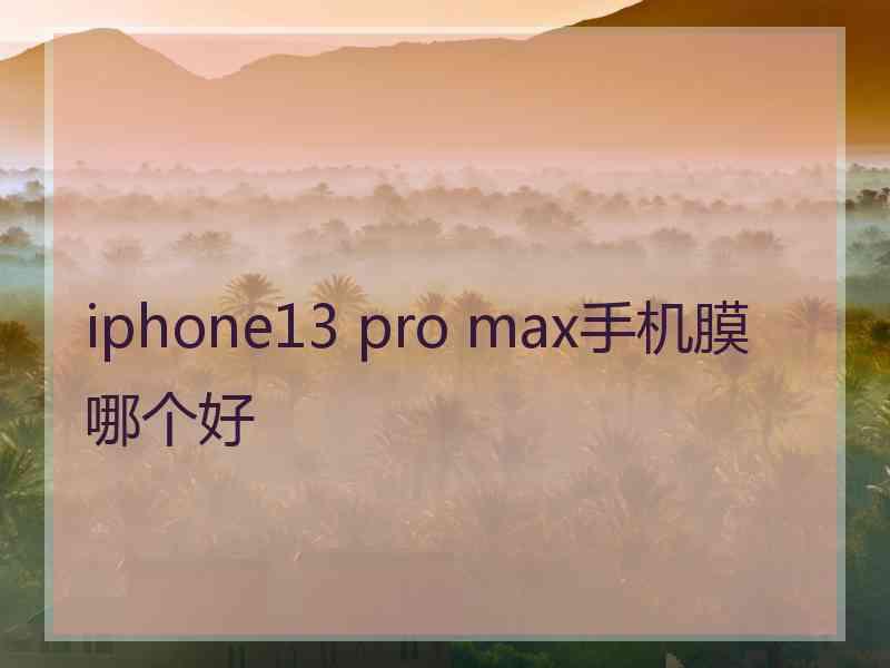 iphone13 pro max手机膜哪个好