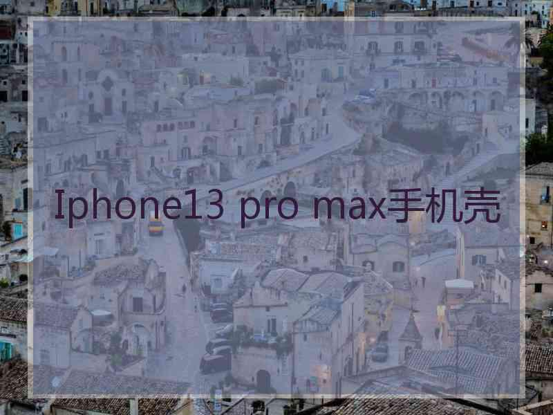 Iphone13 pro max手机壳