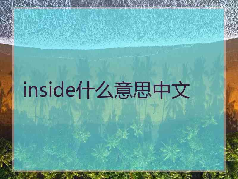 inside什么意思中文