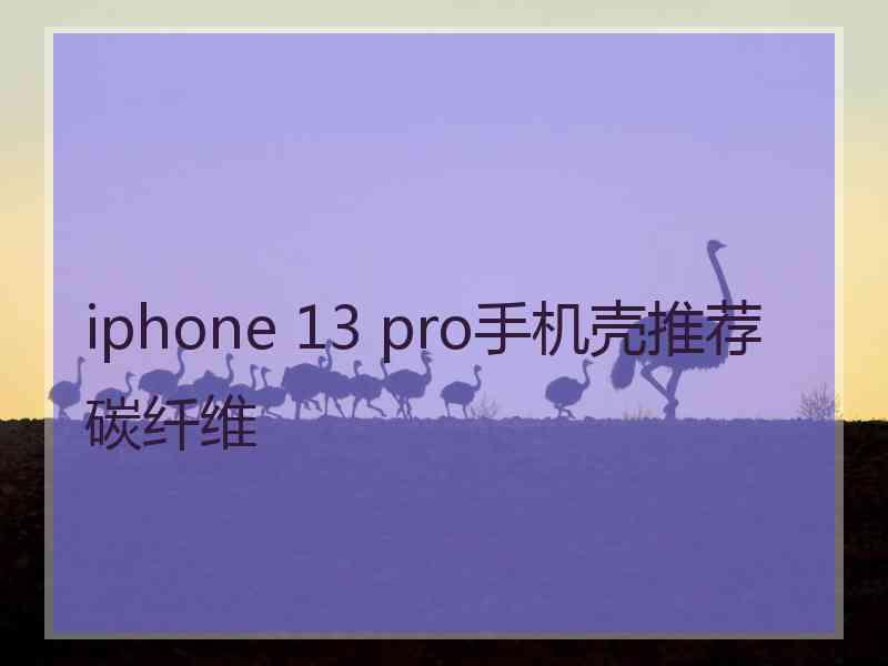 iphone 13 pro手机壳推荐碳纤维