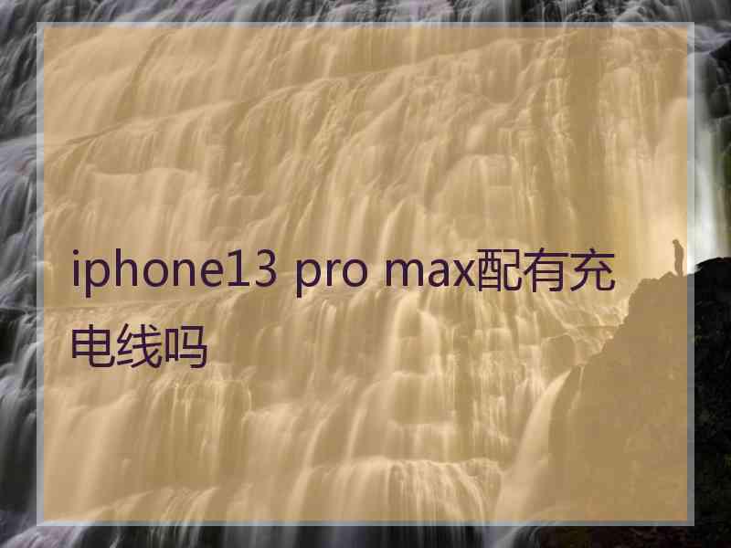 iphone13 pro max配有充电线吗