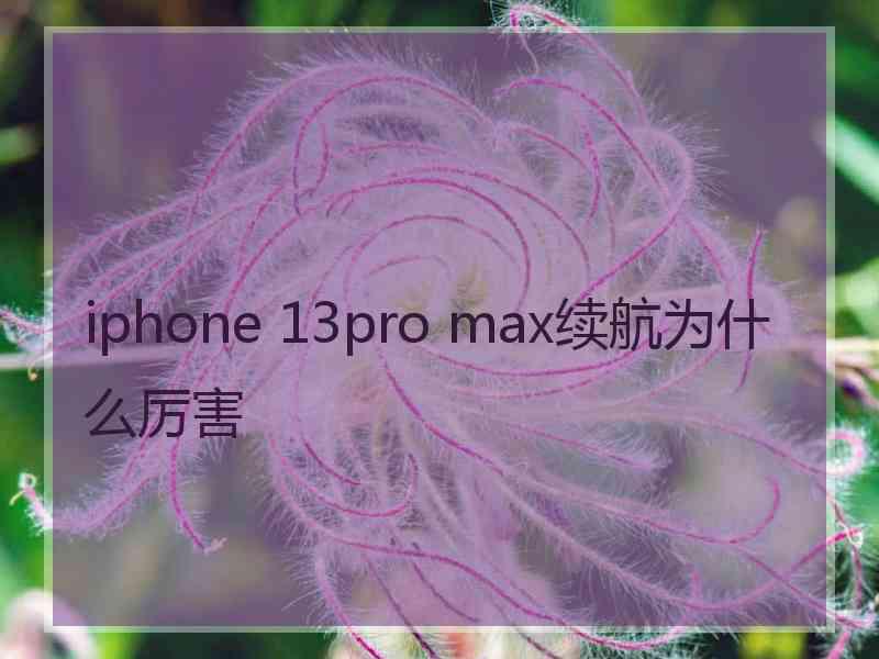 iphone 13pro max续航为什么厉害