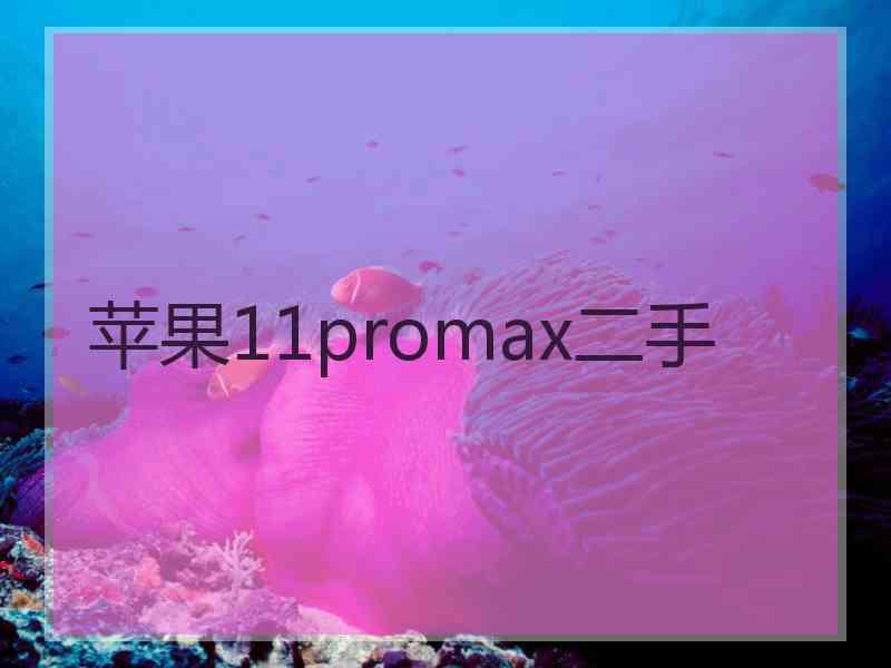 苹果11promax二手