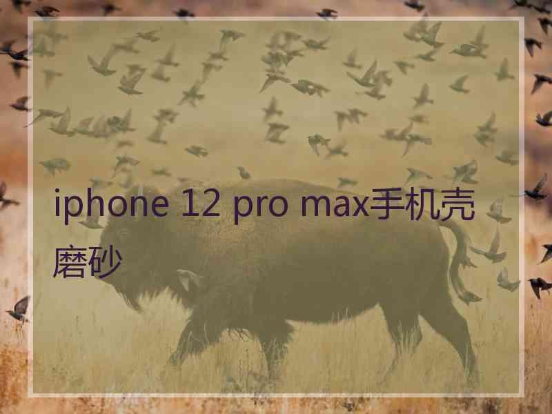 iphone 12 pro max手机壳磨砂