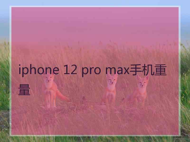 iphone 12 pro max手机重量