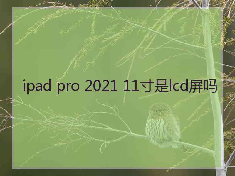 ipad pro 2021 11寸是lcd屏吗