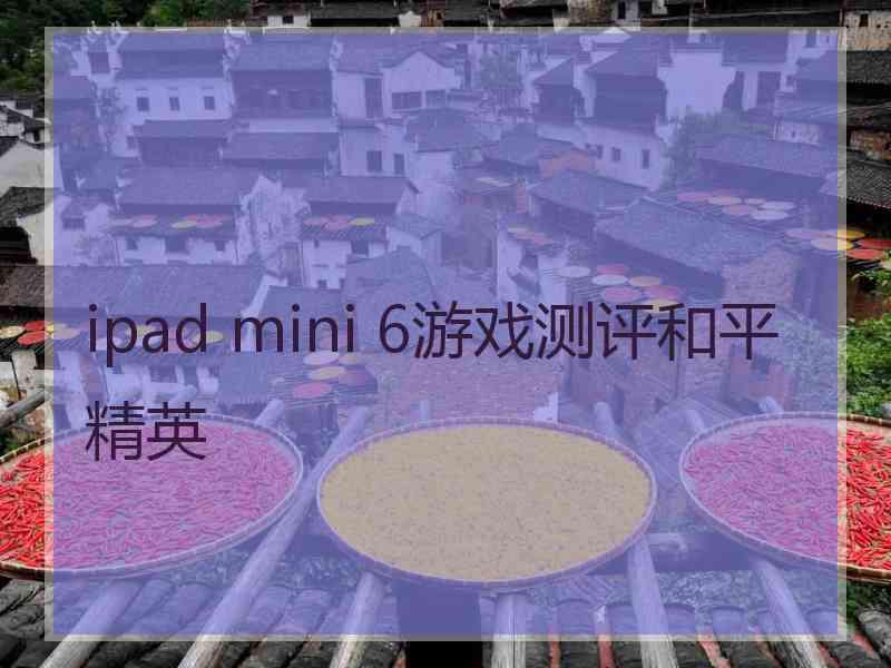 ipad mini 6游戏测评和平精英