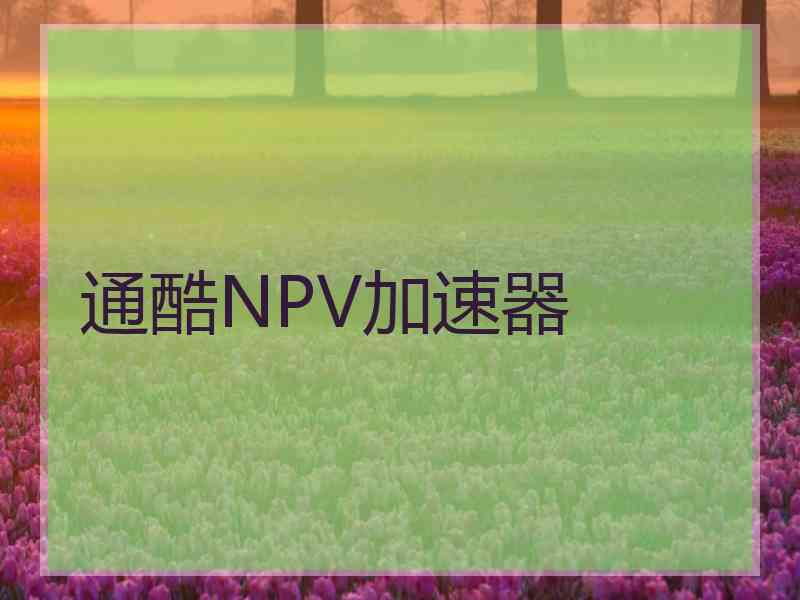 通酷NPV加速器