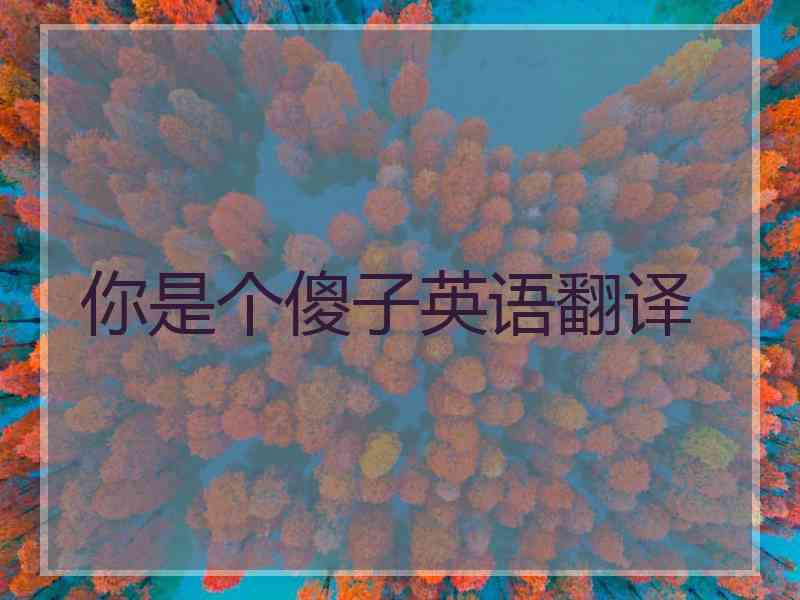 你是个傻子英语翻译