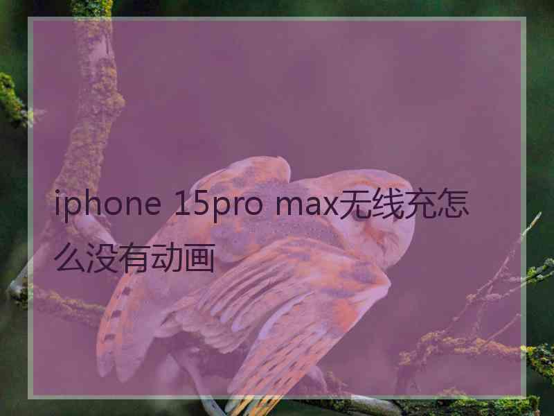 iphone 15pro max无线充怎么没有动画